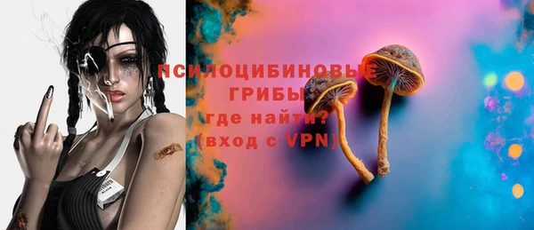 ПСИЛОЦИБИНОВЫЕ ГРИБЫ Надым