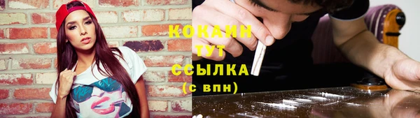 ПСИЛОЦИБИНОВЫЕ ГРИБЫ Надым