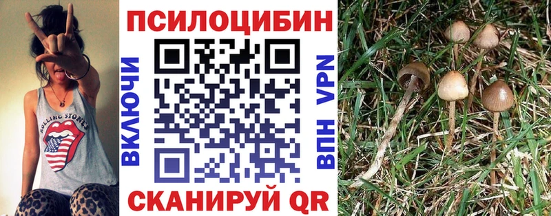 Галлюциногенные грибы Cubensis  Костерёво 